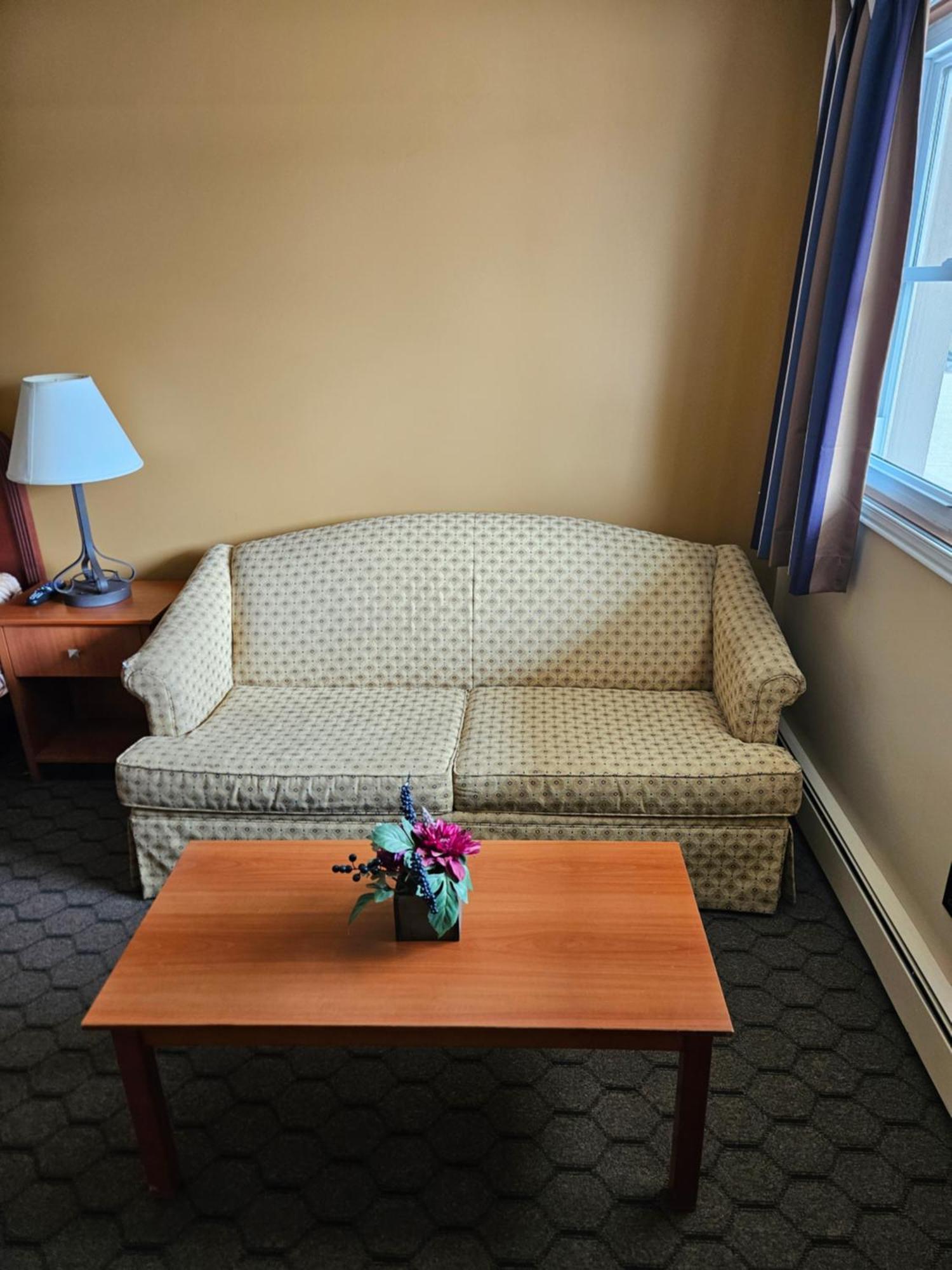 Forest Plaza Motel Mount Forest Esterno foto