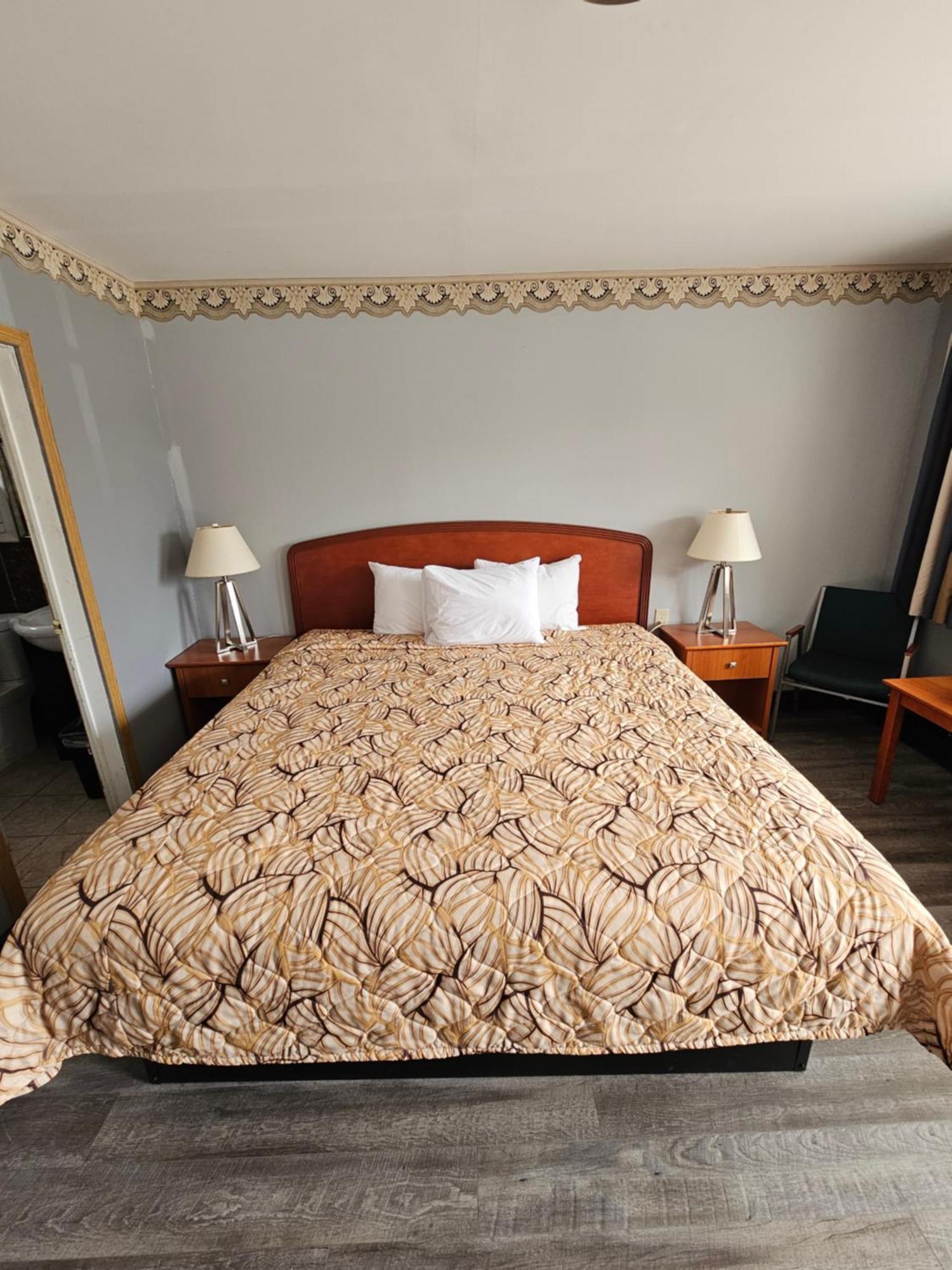 Forest Plaza Motel Mount Forest Esterno foto